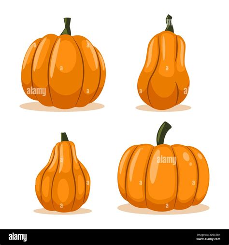 Pumpkin Of Different Shape Vector Cartoon Vegetable Set Isolated On