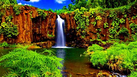 Tropical Waterfall Full Hd Wallpaper And Background Image 1920x1080