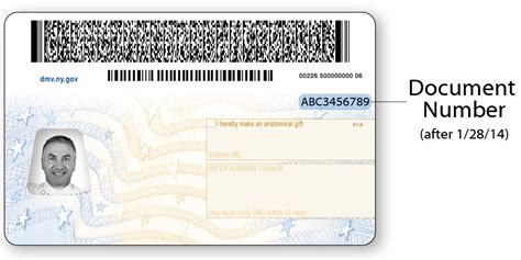 37 Pdf Sample Driver License Back Free Printable Download Docx Zip