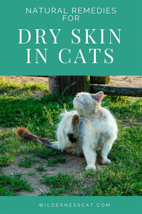 While there are effective home remedies that can be used safely on cats, some don't work at all and others should garlic, neem oil, and citronella are commonly suggested natural parasite repellents that are actually poisonous for cats. Home Remedies for Cats with Dry Skin - Soothe Naturally ...