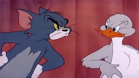 During this time, they won. Tom And Jerry Little Quacker - YouTube