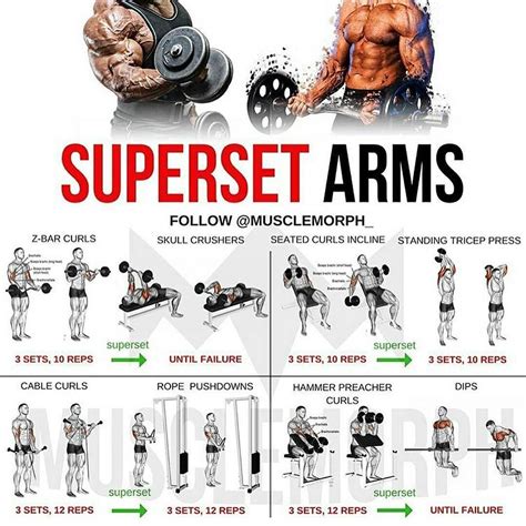 Pin By Steel Armor On Fitness And Workout Bicep And Tricep Workout Gym