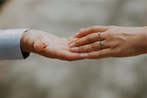 Wedding Couple Holding Hands On Sunset Wedding Rings Man Giving An