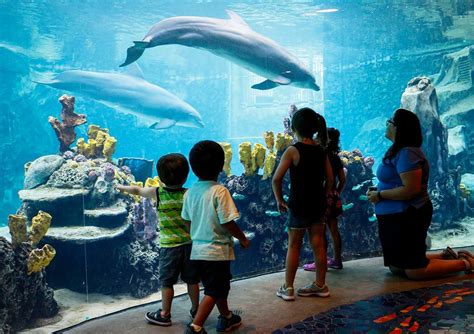 Seaworld San Antonio Aquarium Invisible Shield By Unelko