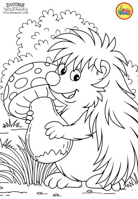 Animals Coloring Pages For Kids Free Preschool