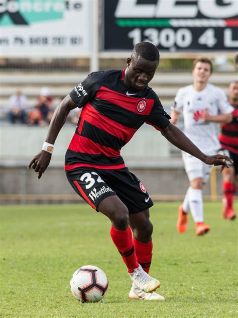 Wolverhampton wanderers vs watford highlights and full match competition: Pic Special: Western Sydney Wanderers vs Wellington ...