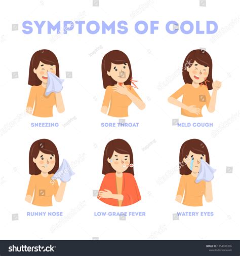 Cold Flu Symptoms Infographic Fever Cough Stock Vector Royalty Free
