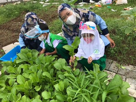 Berkebun Di Sekolah Siswa Siswi Tk Al Syukro Riang Jajakan Sayuran