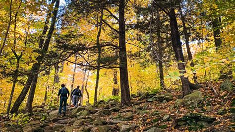 12 Best Fall Foliage Hikes In The Catskills