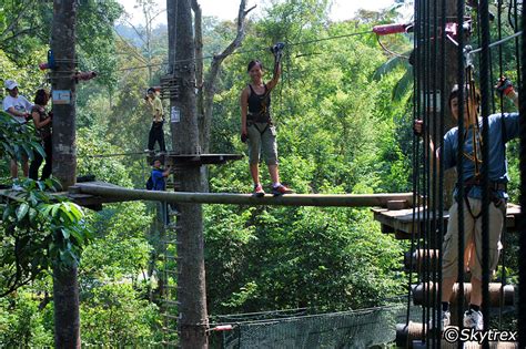 Skytrex adventure provides the first of its kind in malaysia, a tree to. Skytrex Adventure - Daulah Travel & Tours