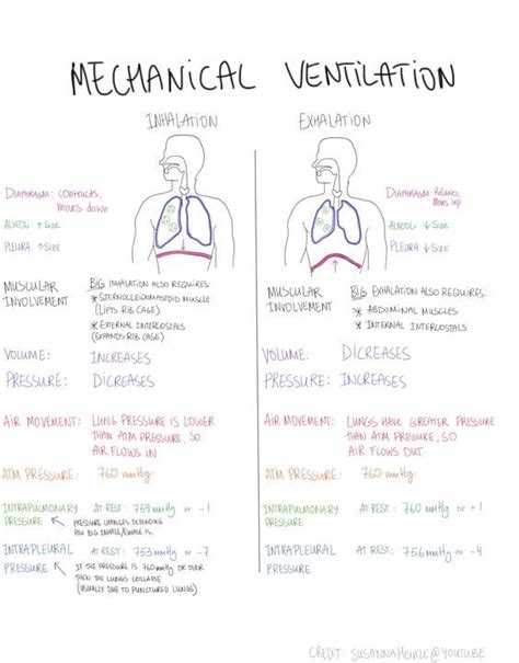Mnemonics For Nursing Assessment Of The Respiratory System Description
