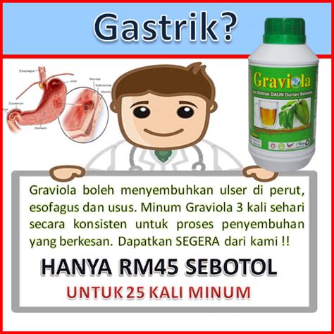 Graviola lebih kuat dari 1 tan buah durian belanda. Jus Daun Durian Belanda Rawat Kanser dan Sakit Kronik: Gastrik