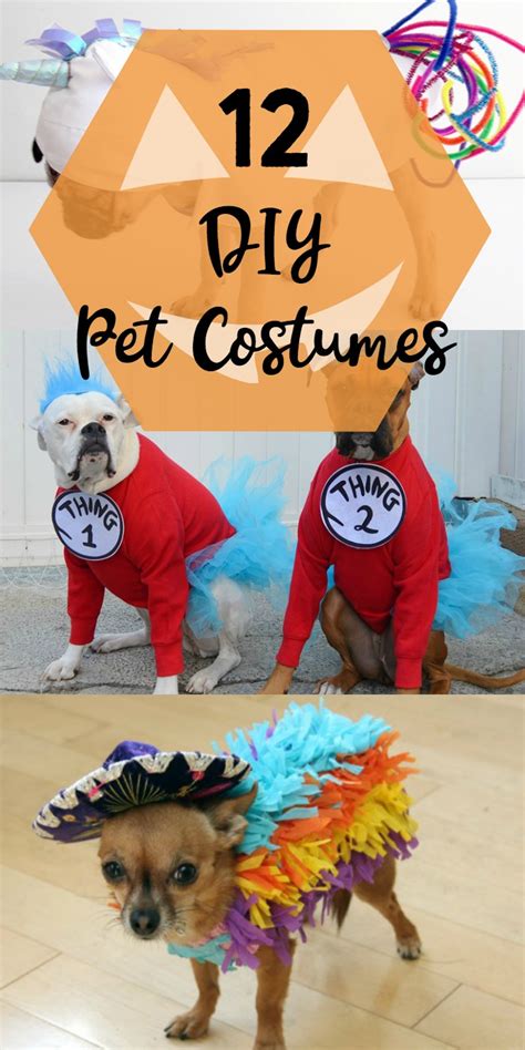 Why leave your pup at home when the two of you can explore a new place together? 12 DIY Pet Costumes | Yesterday On Tuesday