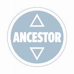 Dna Icons Icon Ancestor Maternal Line Genetic