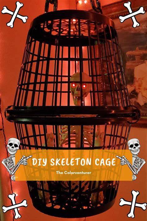Theres No Bones About It—this Skele Fun Skeleton Cage Is A Must For