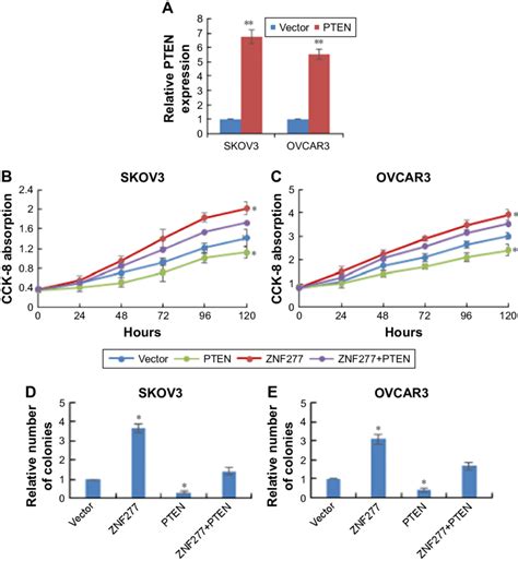 The key difference between viral vector and mrna vaccines is that viral vector vaccines use modified virus. ZnF277 promoted Oc cell proliferation by targeting PTen ...