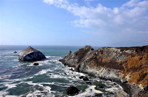 Edupic Coastal Biomes And Habitats