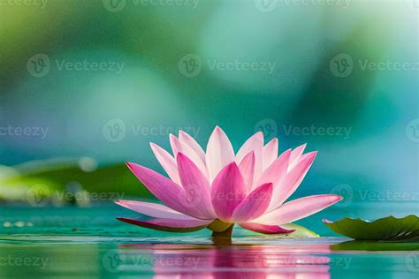 A Pink Lotus Flower Floating In The Water Ai Generated 31936110 Stock