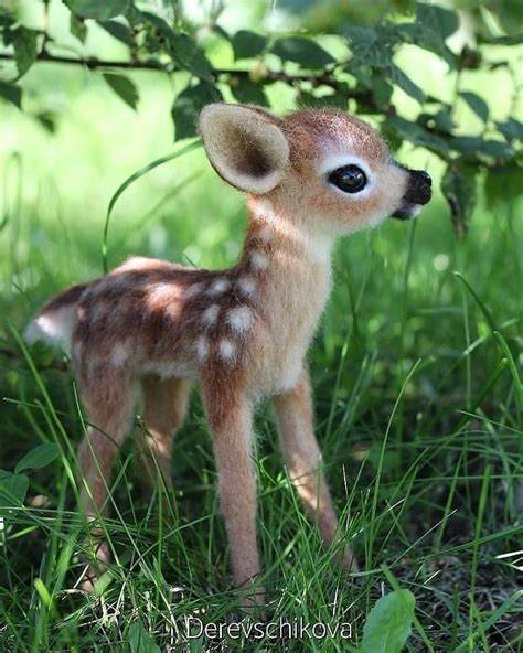 Новости Cute Wild Animals Baby Animals Super Cute Cute Animal Photos