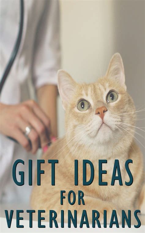 Check out our vet student gift selection for the very best in unique or custom, handmade pieces from our shops. #Sponsored Best Gifts for Veterinarians to Buy | Vet ...