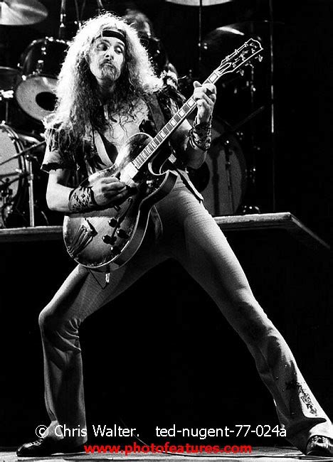 Ted Nugent Photo Archive Classic Rock Photography By Chris Walter For Media Use In Publications
