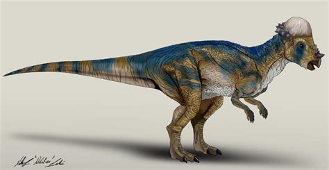 The Lost World Jurassic Park Pachycephalosaurus By Nikorex On Deviantart