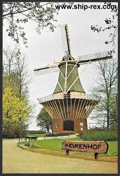 Keukenhof Lisse Netherlands - postcard
