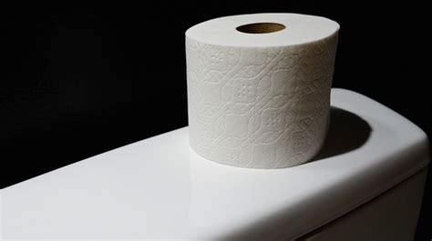 How A Toilet Paper Boom Is Harming Canadas Boreal Forest
