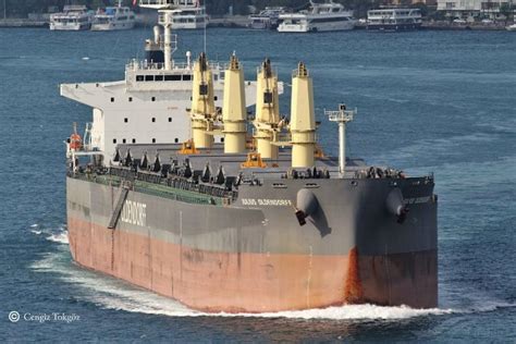 Bulk Antigua Bulk Carrier Detalles Del Buque Y Posición Actual Imo