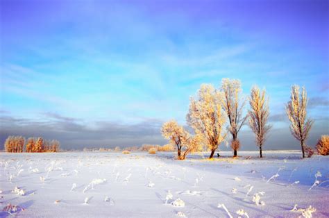 Snow Field Trees Clouds Winter The Sky Frost Photo 2951 Hd