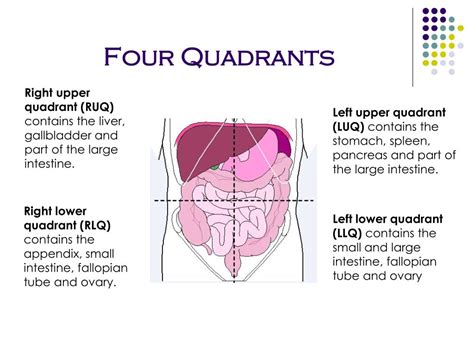 Ppt Differential Diagnosis Of Acute Abdominal Pain