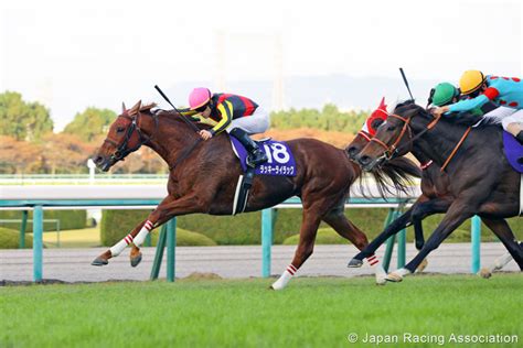 Lucky Lilac Becomes Fourth Mare To Win Back To Back Queen Elizabeth Ii Cup In Japan Paulick