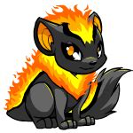 Speaking of pets in free fire, they have been a great inclusion to the game, and have enabled players to keep a buddy to accompany them during matches and buff them up negligibly. Neocolours: the Neopets colour/species guide - View Pets