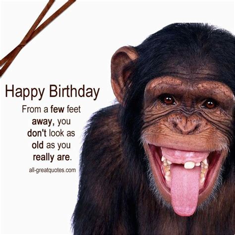 Funny Monkey Birthday Cards Happy Birthday From A Few Feet Away Free
