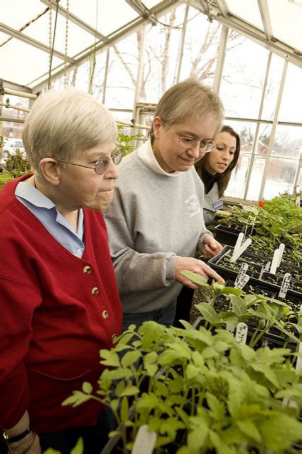 Gardening As Therapy Even For Ptsd Food Features Gardening