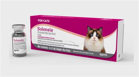 Zoetis Announces Us Commercial Launch Of Solensia Petsplusmagcom