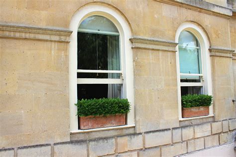 Treat yourself to a work of art. Clay Terracotta Window Boxes With Clipped Buxus ...