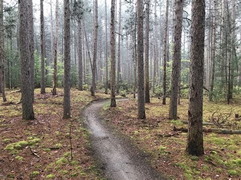 August long weekend shows bold weather divide across canada. The Land of Sand: The Turkey Point, Ontario MTB Trails ...