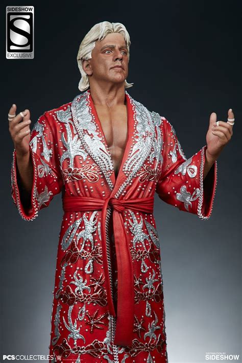 Nothing changed, so flair wanted. ric-flair_wwe_gallery (7)