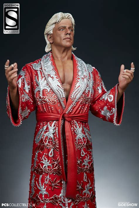 Regarded by multiple peers and journalists as the greatest professional wrestler of all time, flair had a career that spanned almost 40 years. ric-flair_wwe_gallery (7)