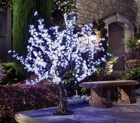 It is hardy to zone (uk) 5 and is not frost tender. White LED Cherry Blossom Tree - 7 Gadgets