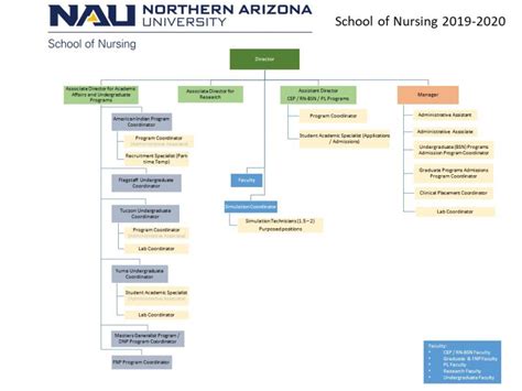 Organizational Chart School Of Nursing