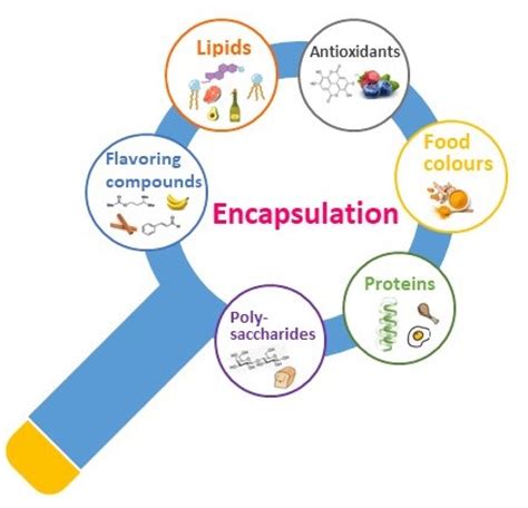 Encapsulated Bioactive Compounds Targeting Enhanced Food Quality