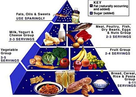 30 Food Pyramid With Label Labels Design Ideas 2020