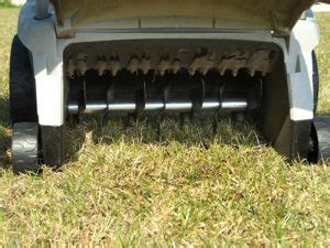 How often should my lawn be dethatched? Dethatching | Fine Cut Lawn Service