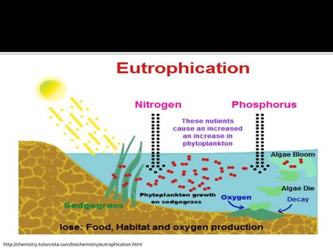 Ppt Eutrofikasi Dan Deoksigenasi Powerpoint Presentation Free
