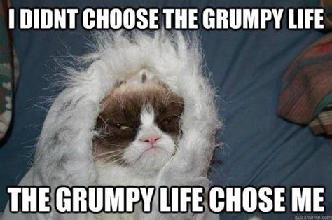 Grumpy Cat: Grumpy Life