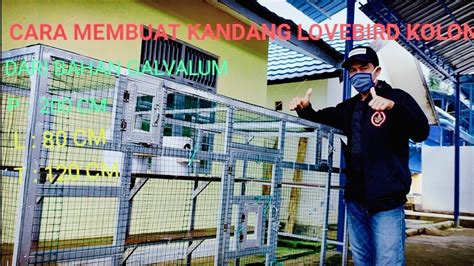 Maybe you would like to learn more about one of these? CARA MEMBUAT KANDANG KOLONI LOVEBIRD DARI BAHAN GALVALUM ...