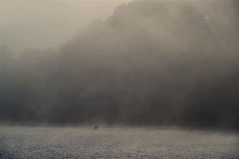 Wallpaper Fog Mist Sky Morning Atmosphere Of Earth Tree Cloud