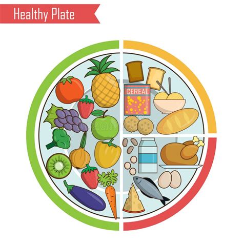 Healthy Plate Nutrition Balance Illustration Stock Vector